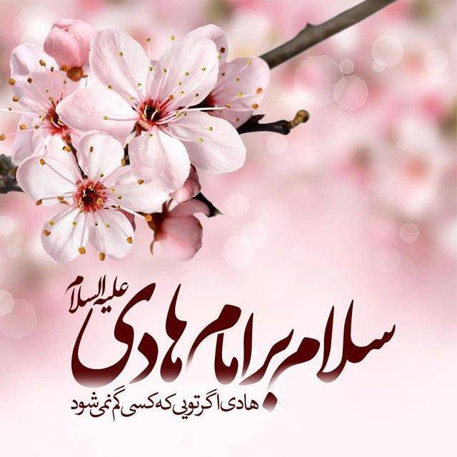 امام هادی علیه السلام در کلام شمس الدین ذهبی (عالم مشهور اهل سنت )